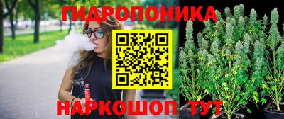 apvp Кимры