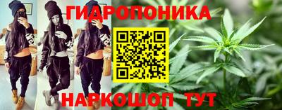 apvp Кимры