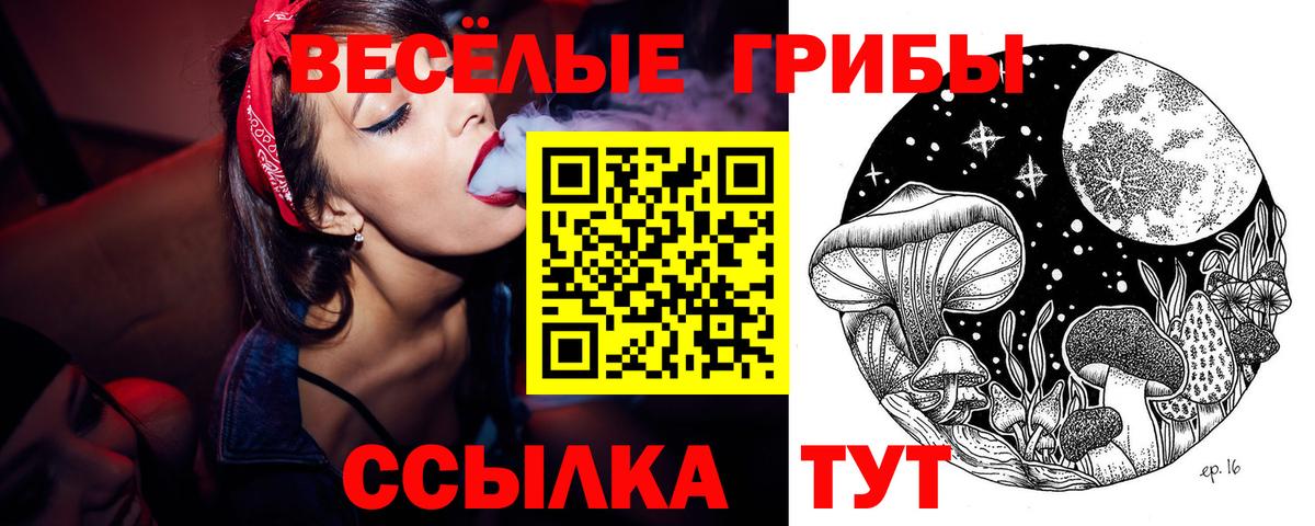 Галлюциногенные грибы Psilocybine cubensis  Псилоцибиновые грибы Psilocybe  Красный Сулин  где купить наркотик  Вход с VPN 